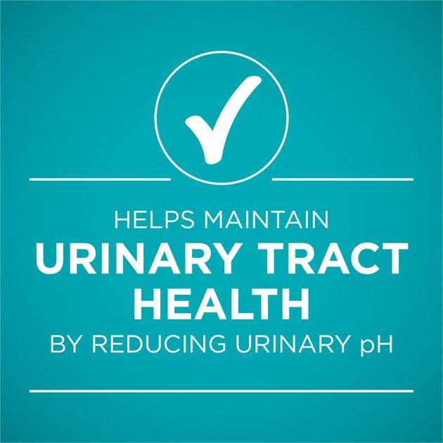 Urinary Tract Health Pate Wet Cat Food D58101