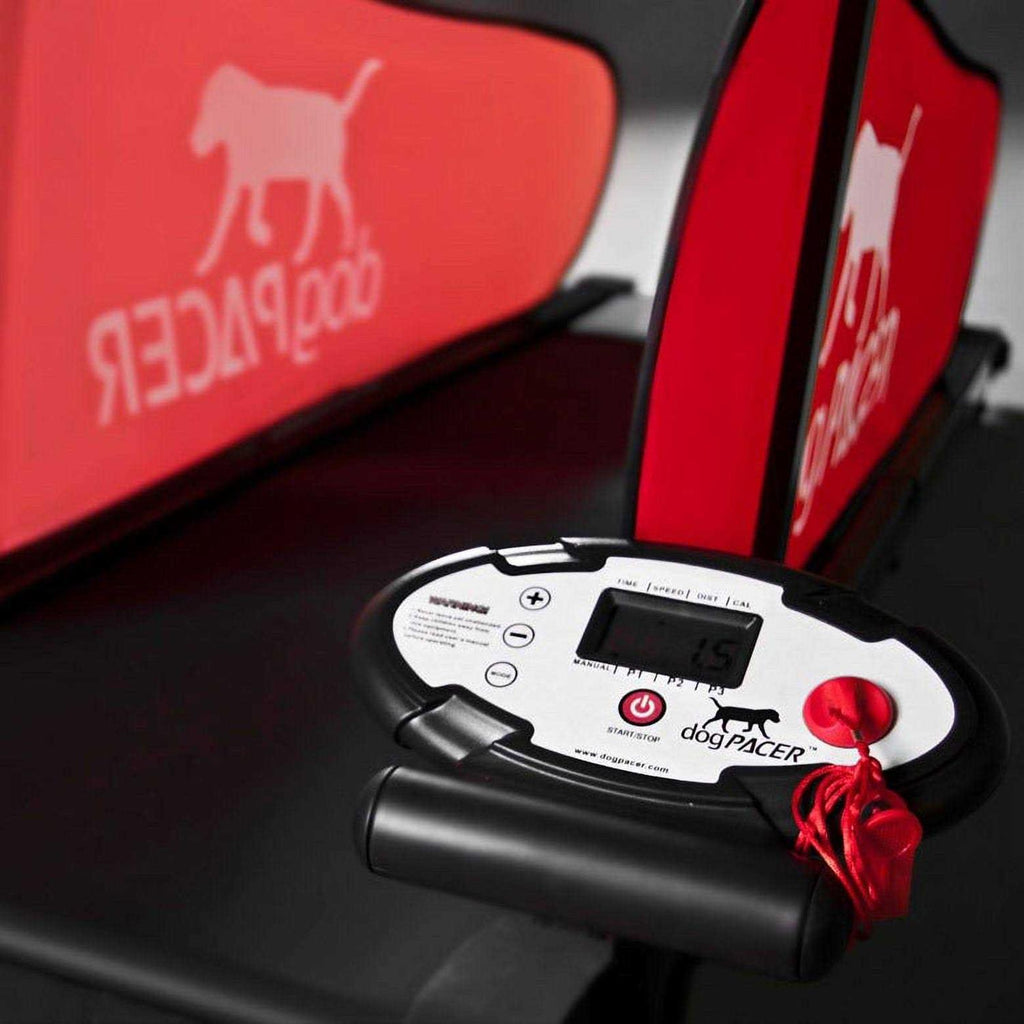 Dog Treadmill for Indoor Exercise V7614
