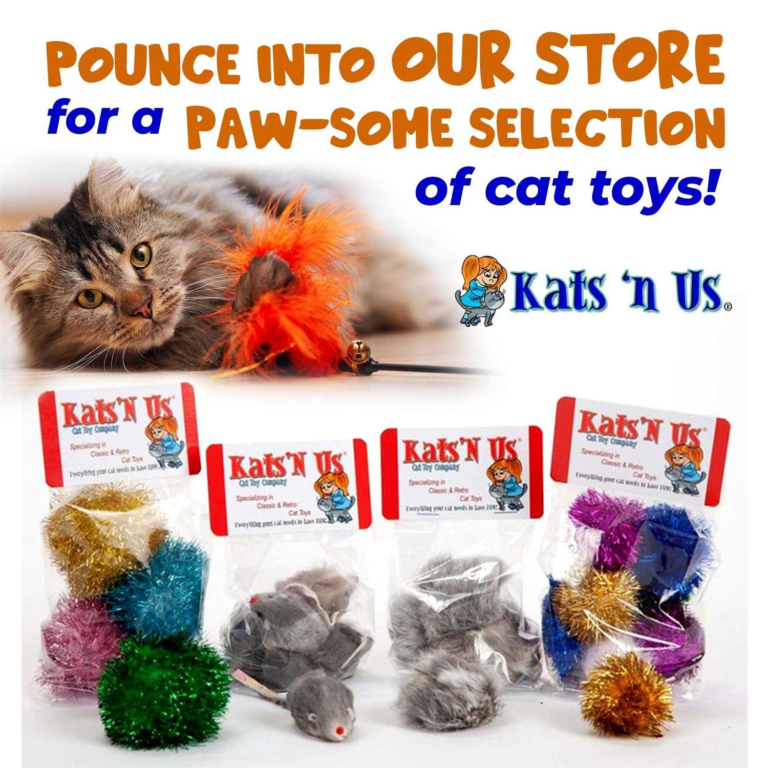 Mouse Cat Toy Pak Y763671