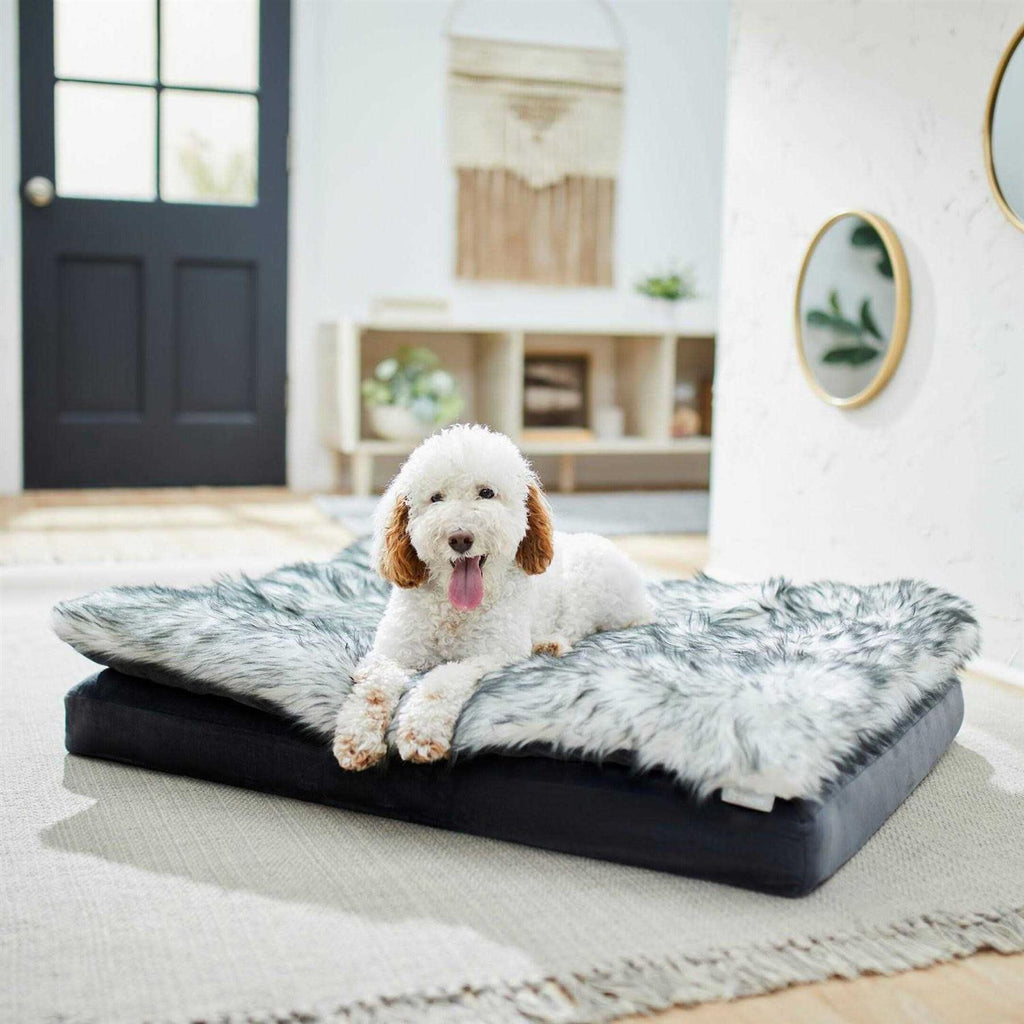 Orthopedic Pillowtop Dog Bed with Removable Cover W42293