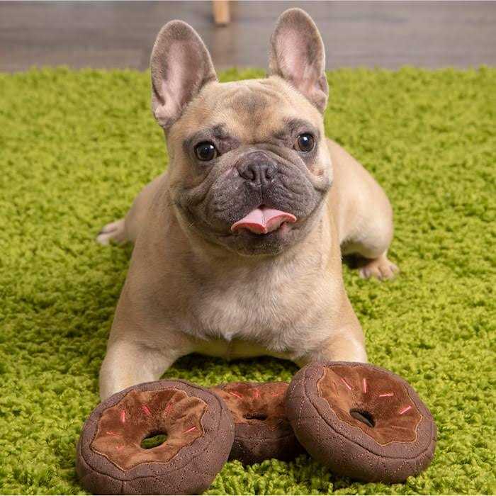 Donut Squeaky Plush Chew Guard Dog Toy Q32045