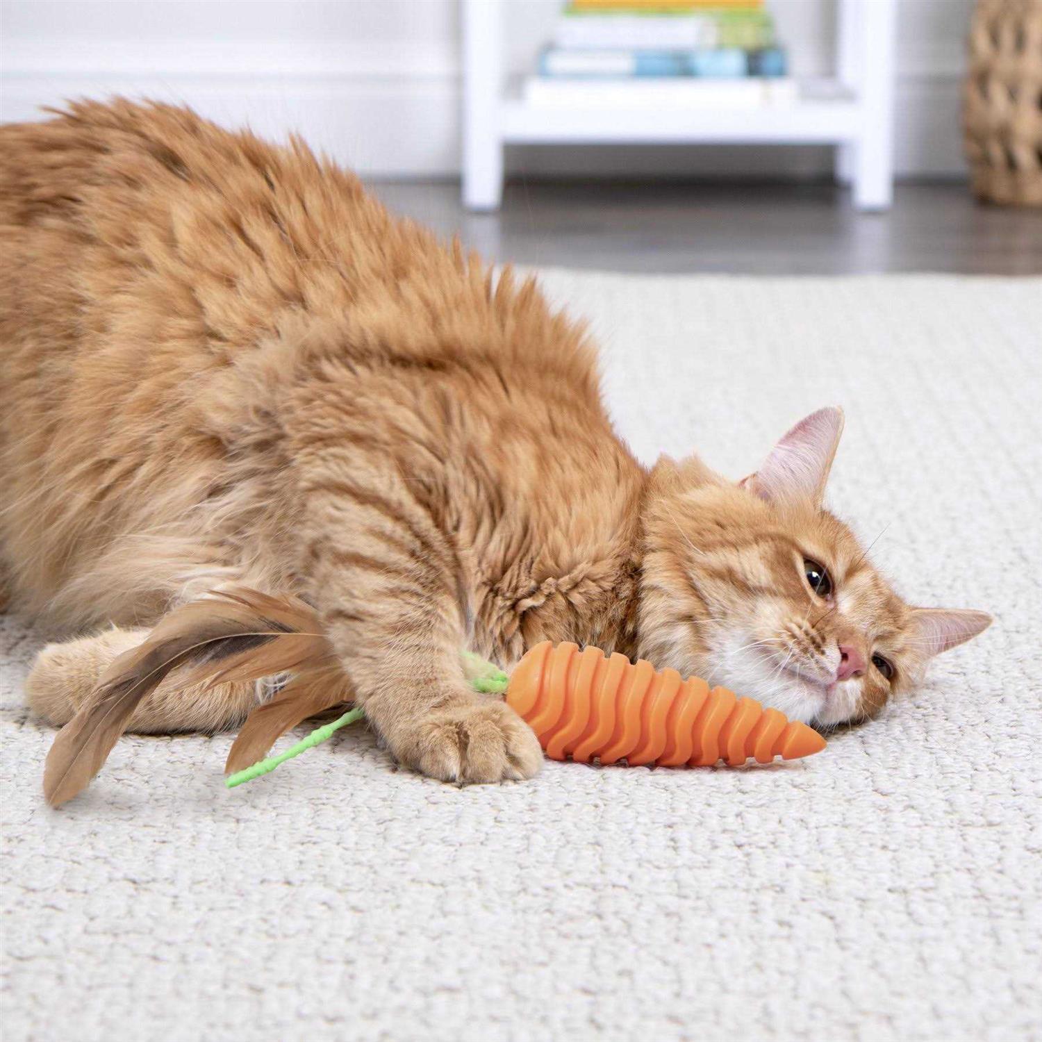 Cat Grooming Toy D4933