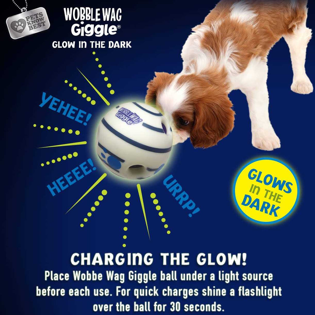 Wobble Wag Giggle 2 Pack Pet Toy Y339