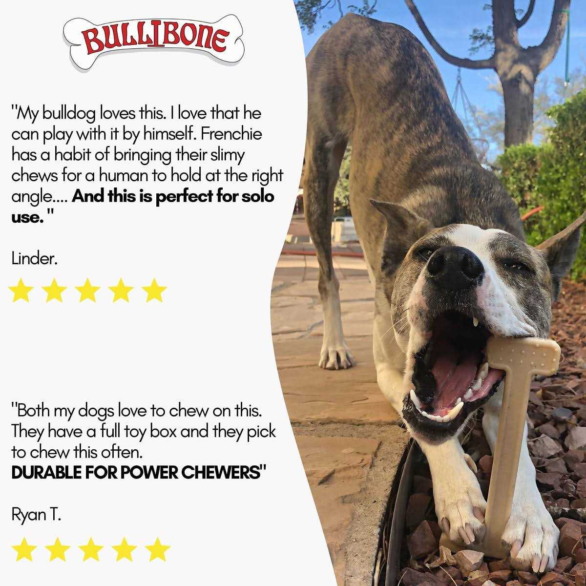 Nylon Dog Chew Toy with Dental Benefits and Easy Grip J38874