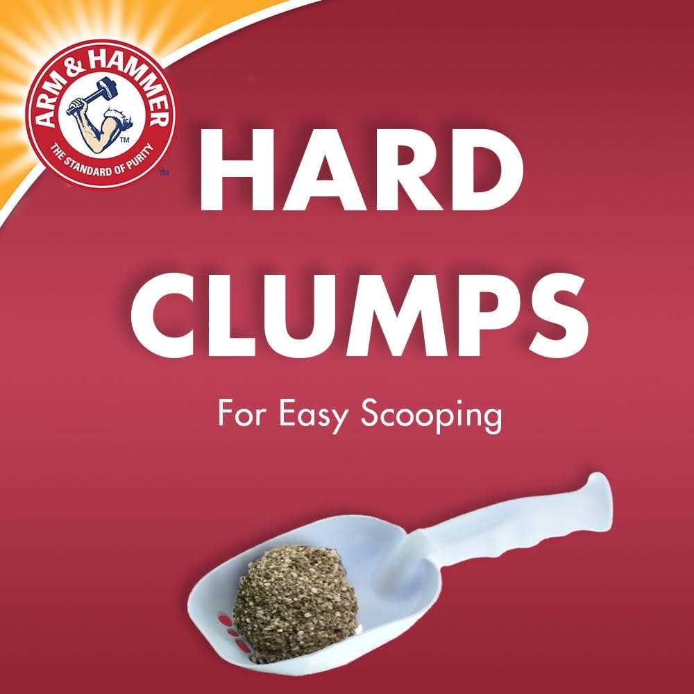 Double Duty Clumping Cat Litter A714