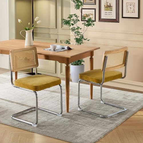 Velvet Dining Chair Set of 2 with Cane Back N6431