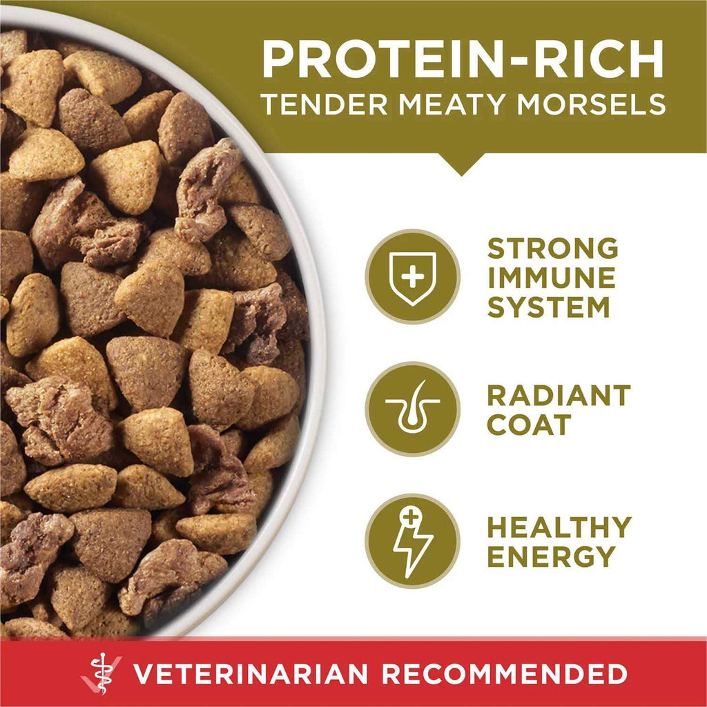 Dry Dog Food Lamb and Rice Formula Q85966