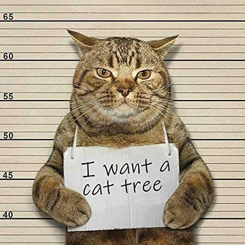 68 Inch Multi-Level Cat Tree for Large Cats with Condo and Scratching Posts J800