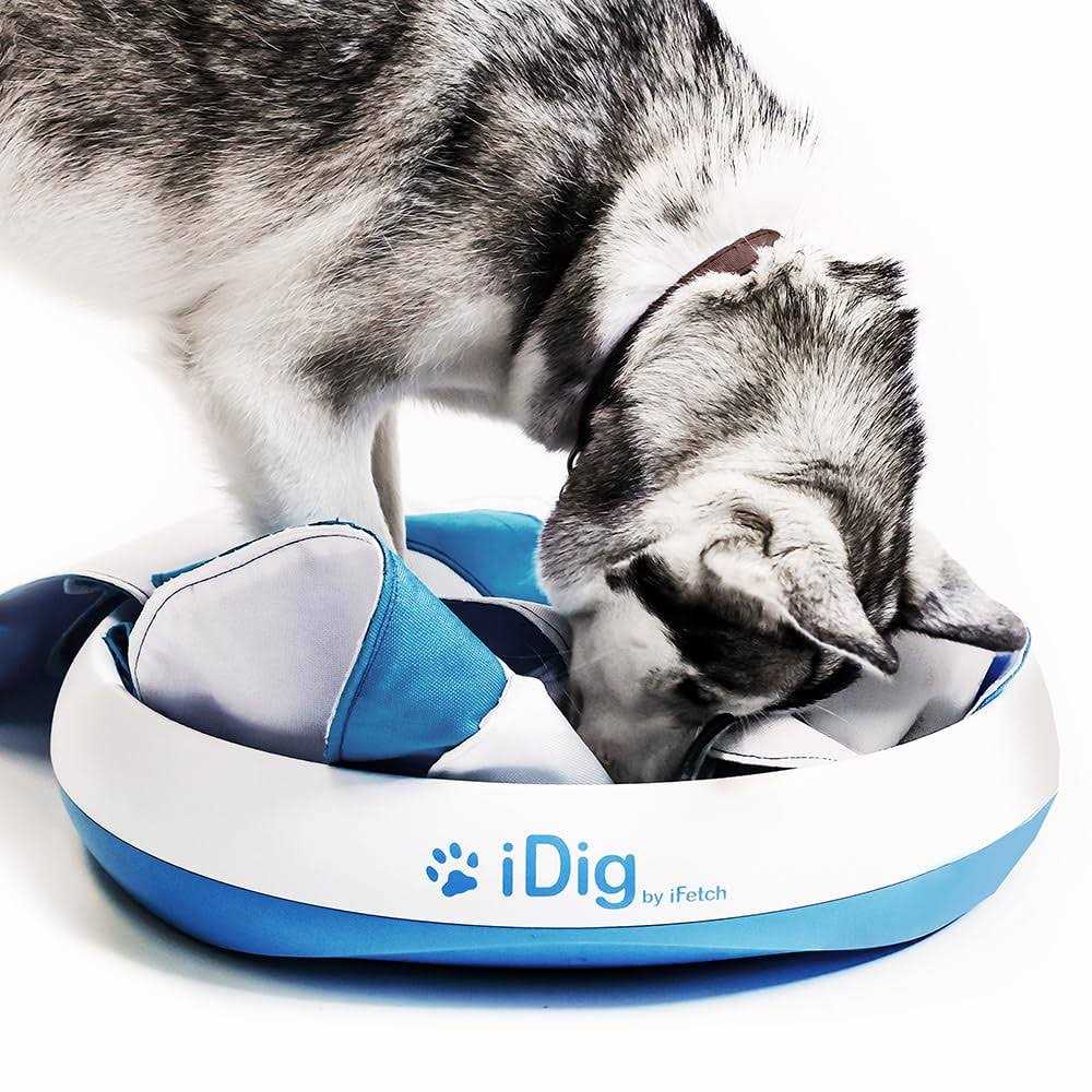 iFetch iDig Stay Digging Toy for Dogs - Pet Supplies online store