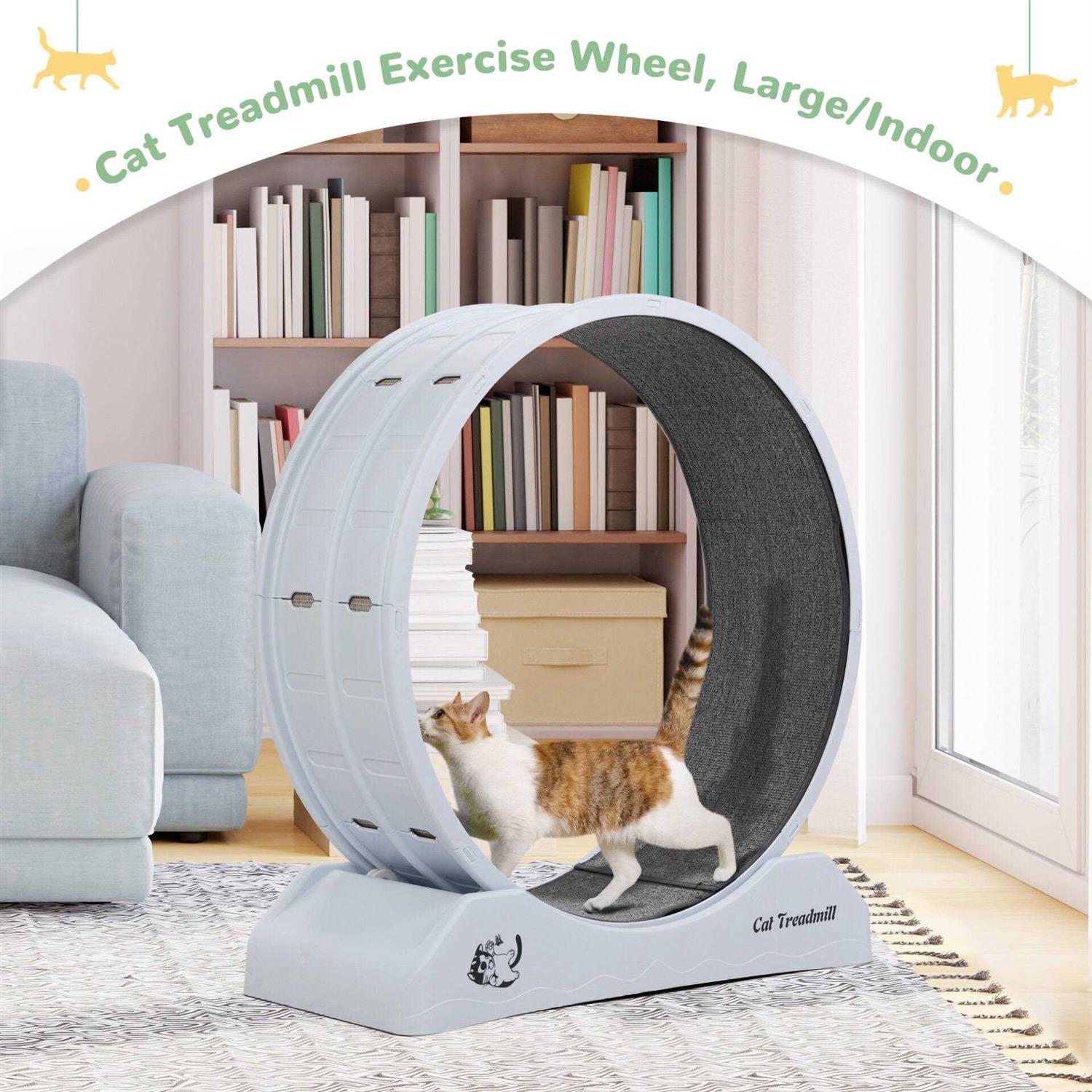 Cat Exercise Wheel Indoor Cat Treadmill with Locking Mechanism Y640