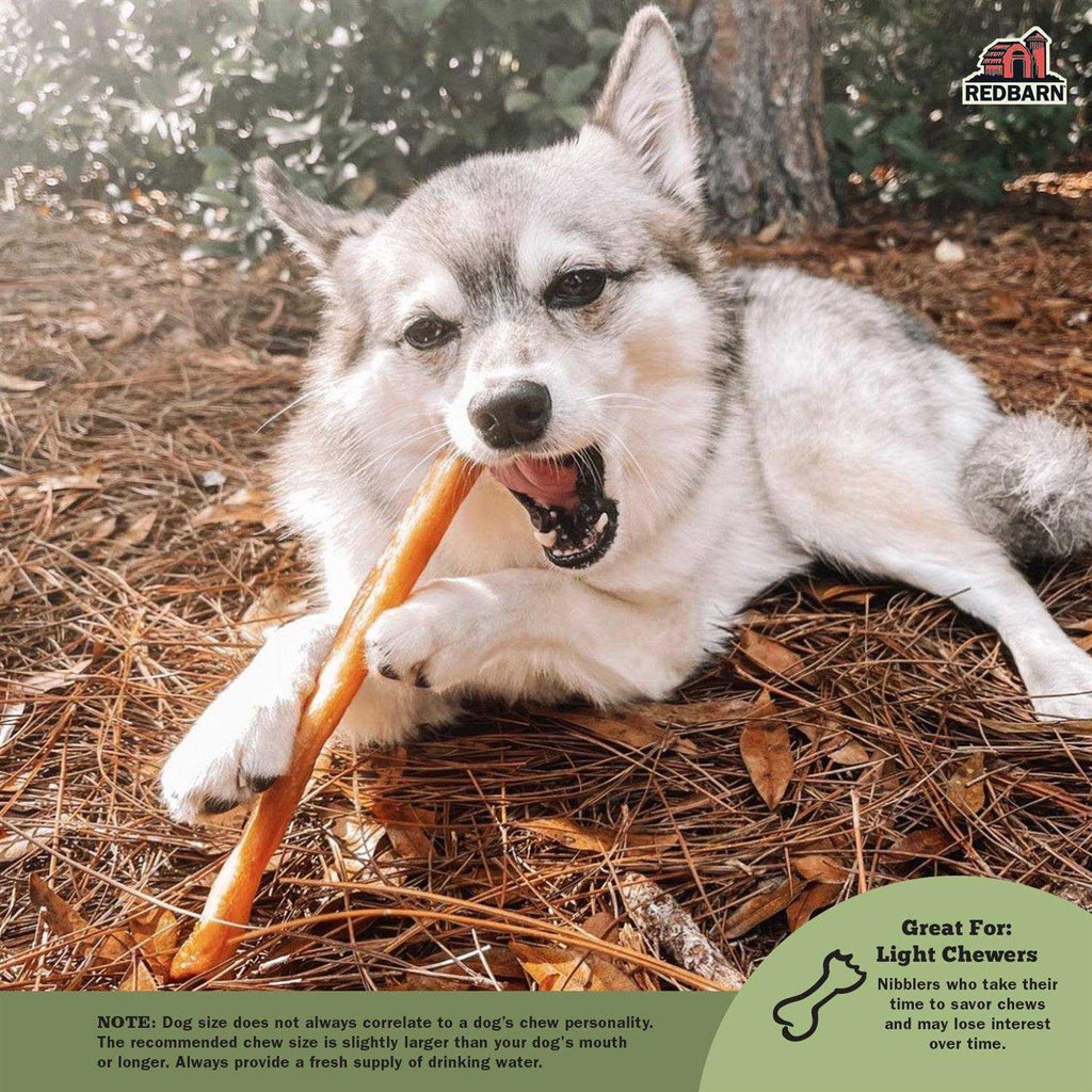 Collagen Dog Chews O926154