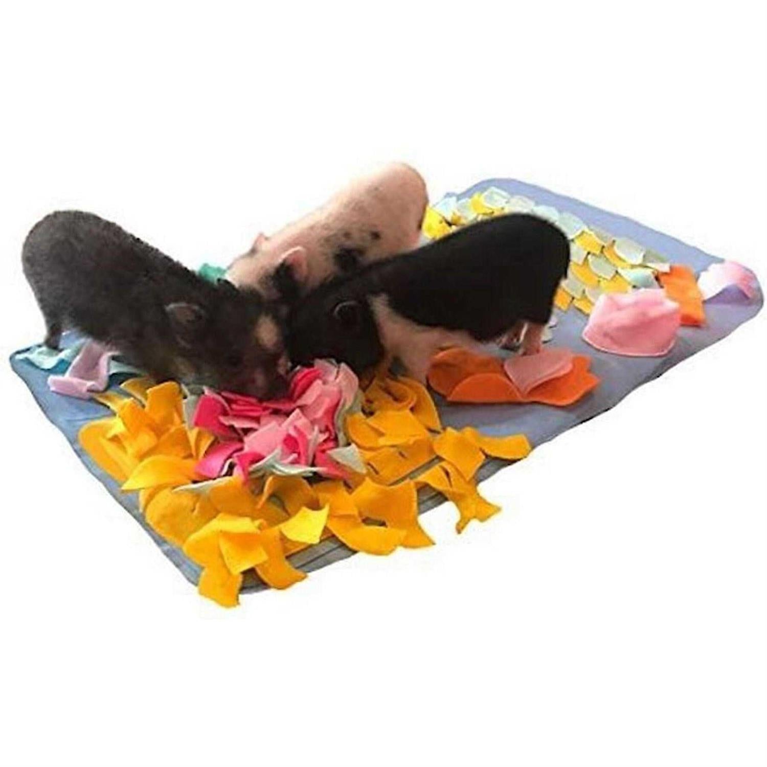 Piggy Poo and Crew Pig Rooting Snuffle Mat - Pet Supplies online store