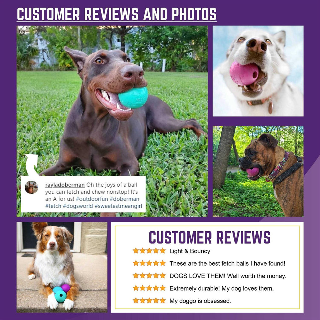 Durable Natural Rubber Fetch Balls for Dogs Z17796