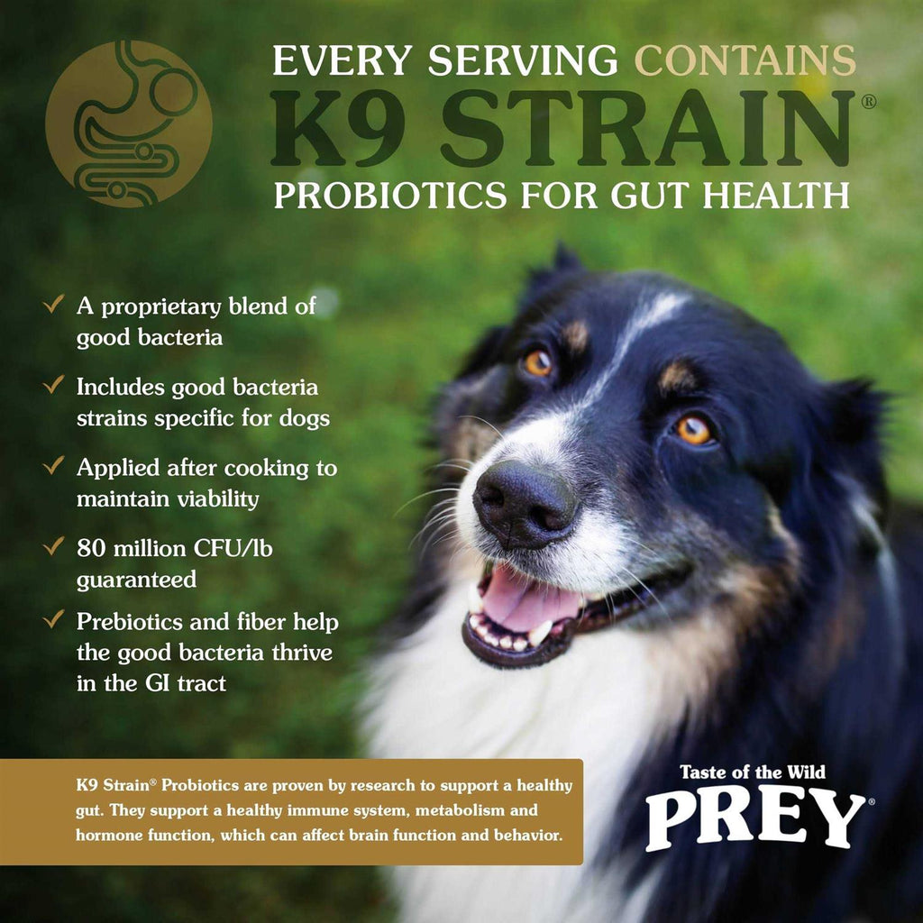 Trout Recipe Dry Dog Food N93470