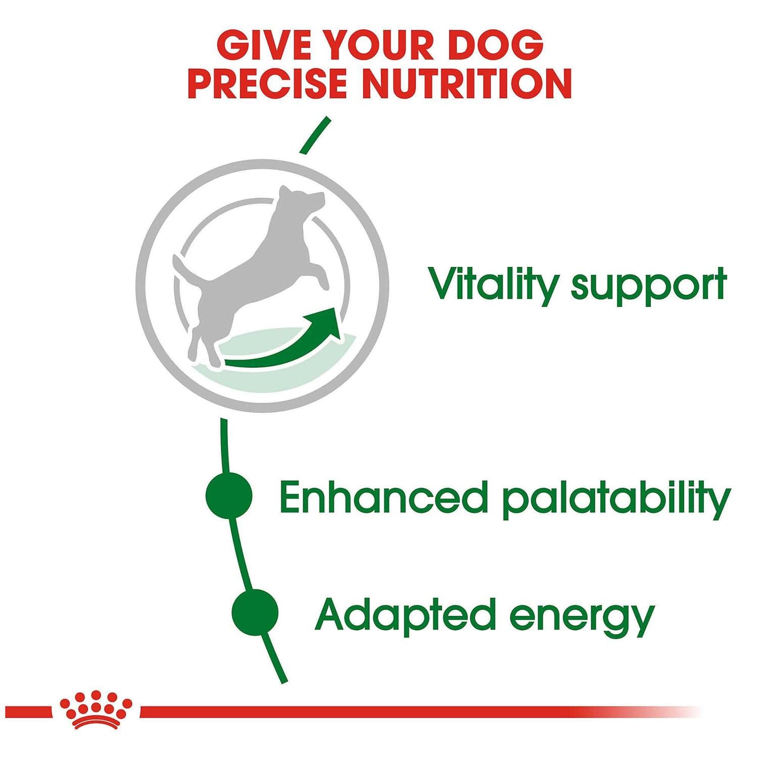 Small Adult 8+ Dry Dog Food O4620
