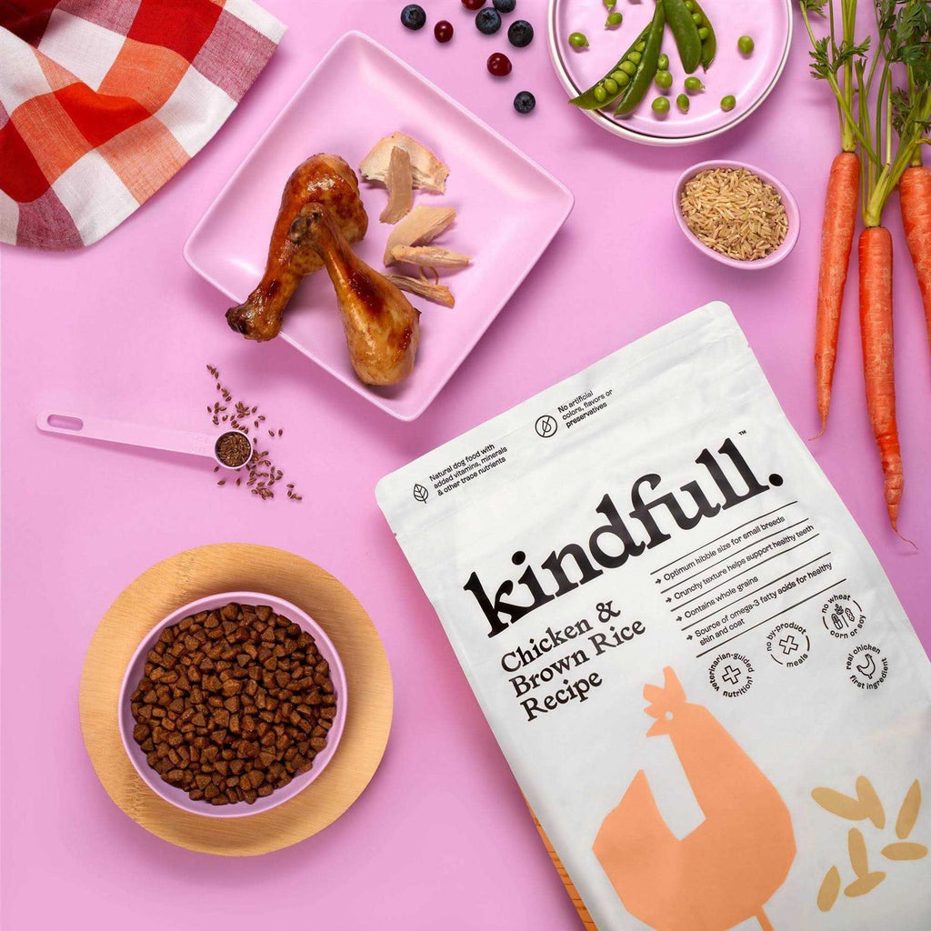 Chicken and Brown Rice Recipe Dry Dog Food V3374