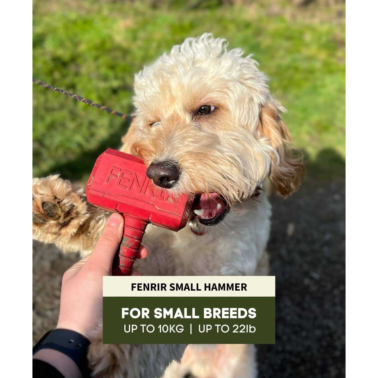 Hammer Chew Toy for Pets D49023
