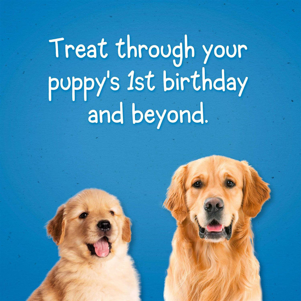Puppy Training Treats for Dogs R802278