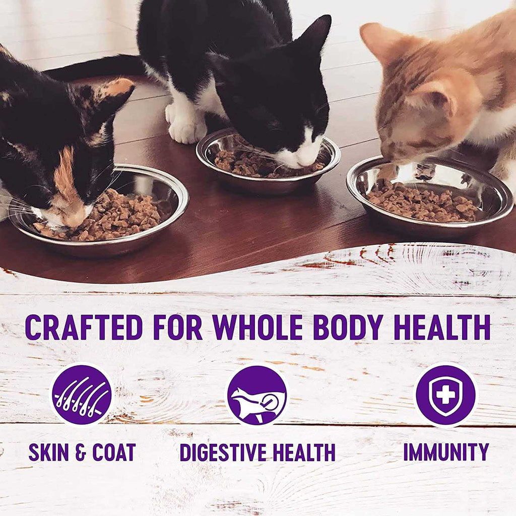 Canned Cat Wet Food Pate Variety Pack 12 Cans U6658