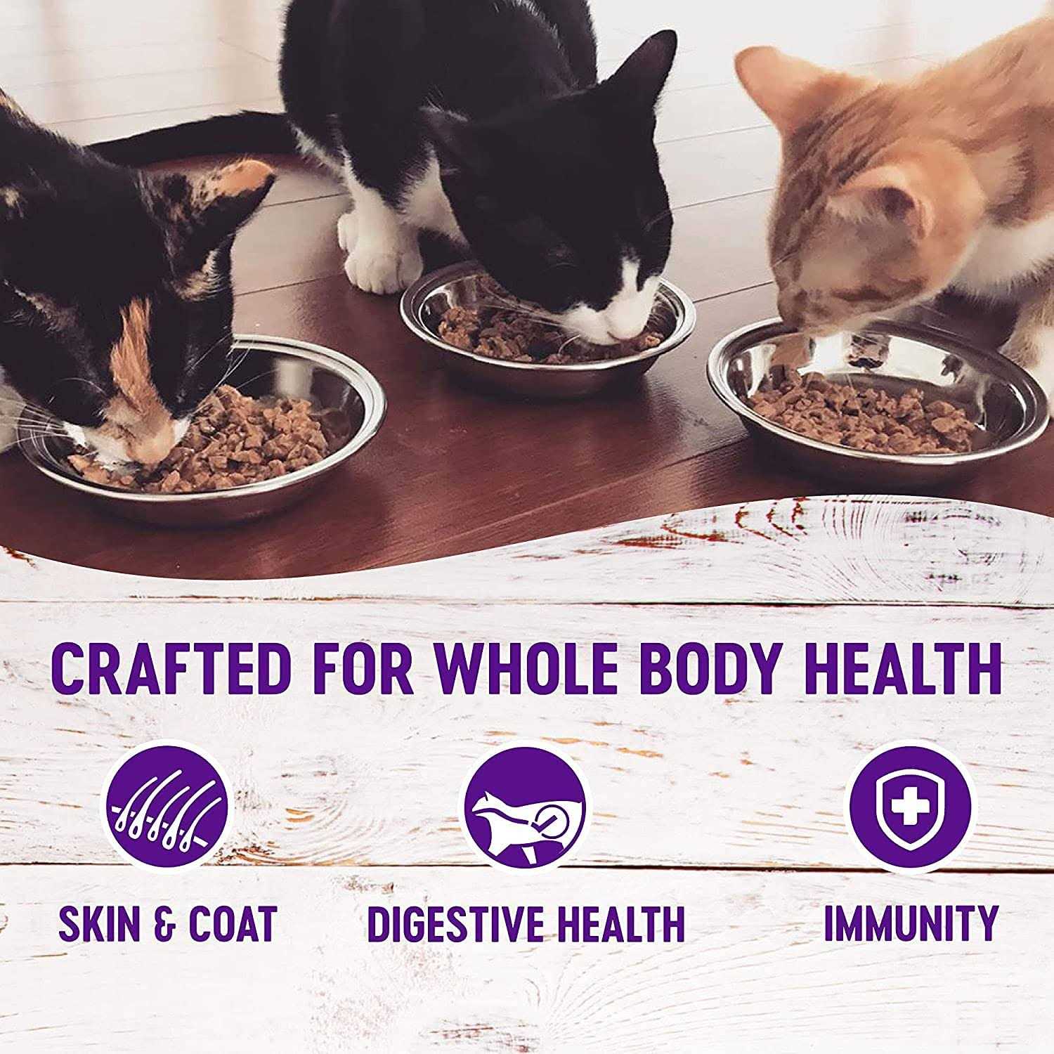 Canned Cat Wet Food Pate Variety Pack 12 Cans U6658