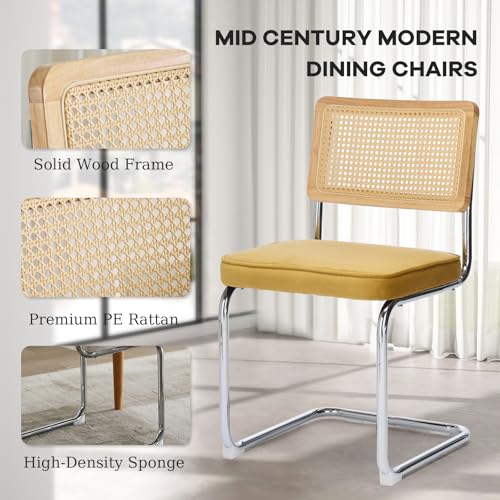 Velvet Dining Chair Set of 2 with Cane Back N6431