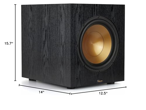 10" Front-Firing Subwoofer with 150W Amplifier for Home Theater Bass E280