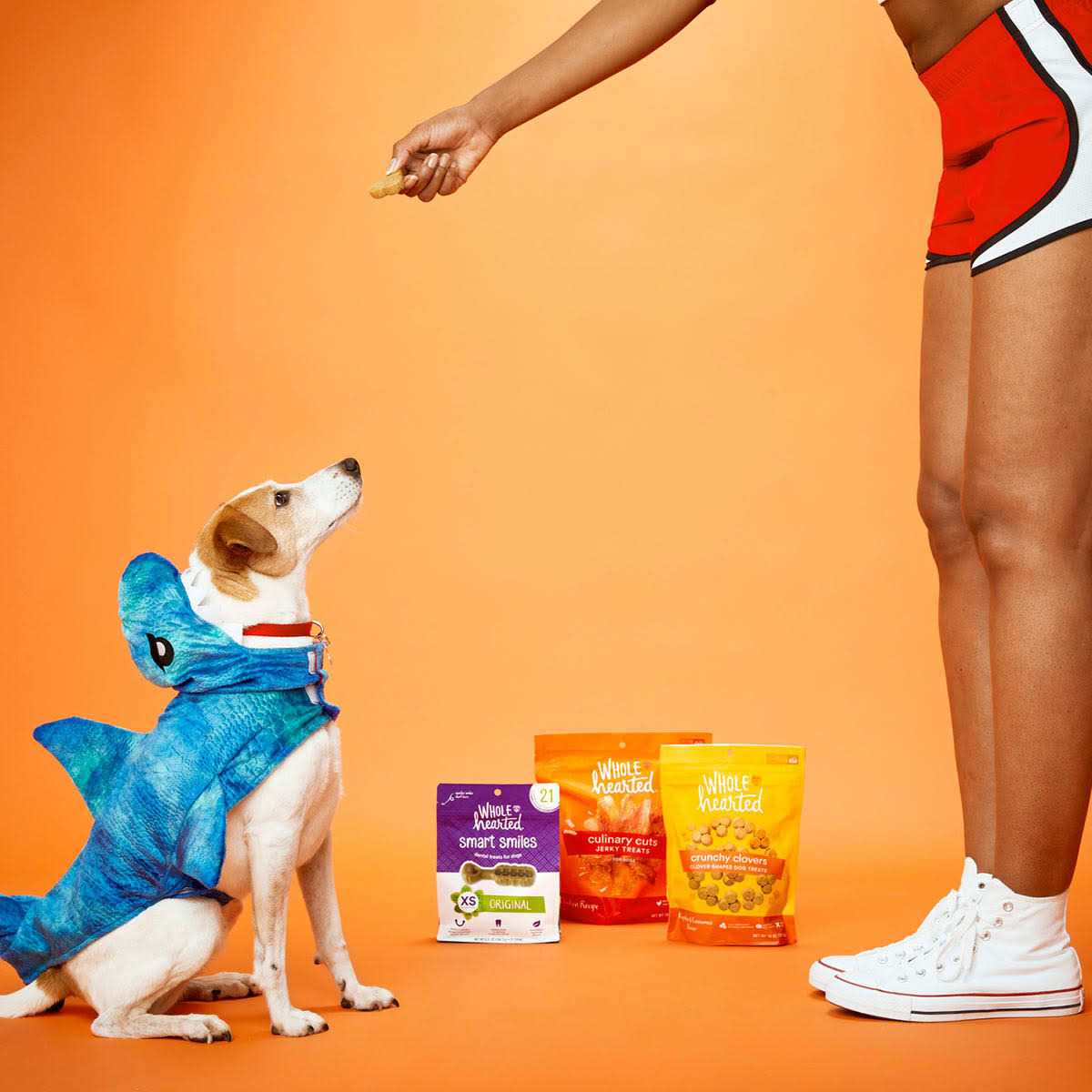 Chicken Recipe Jerky Dog Treats S300781