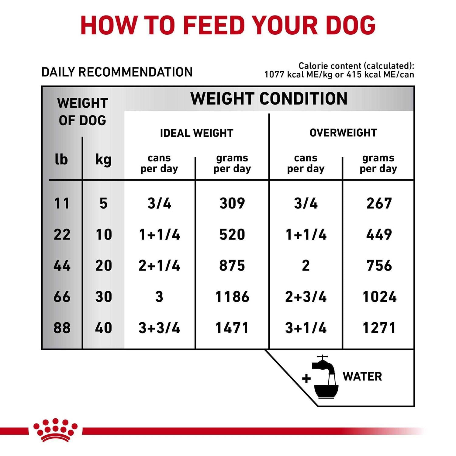 Gastrointestinal Loaf Canned Dog Food M4342