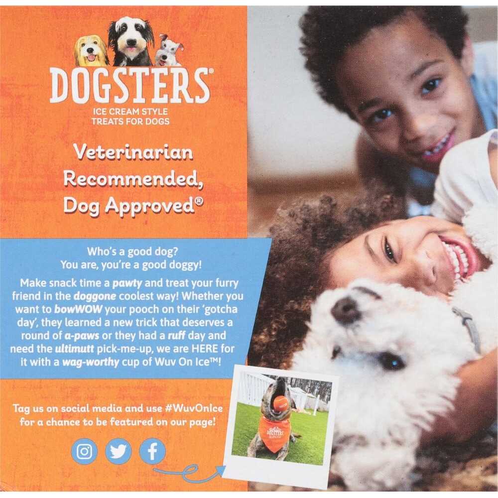 Ice Cream Style Treats for Dogs P80448