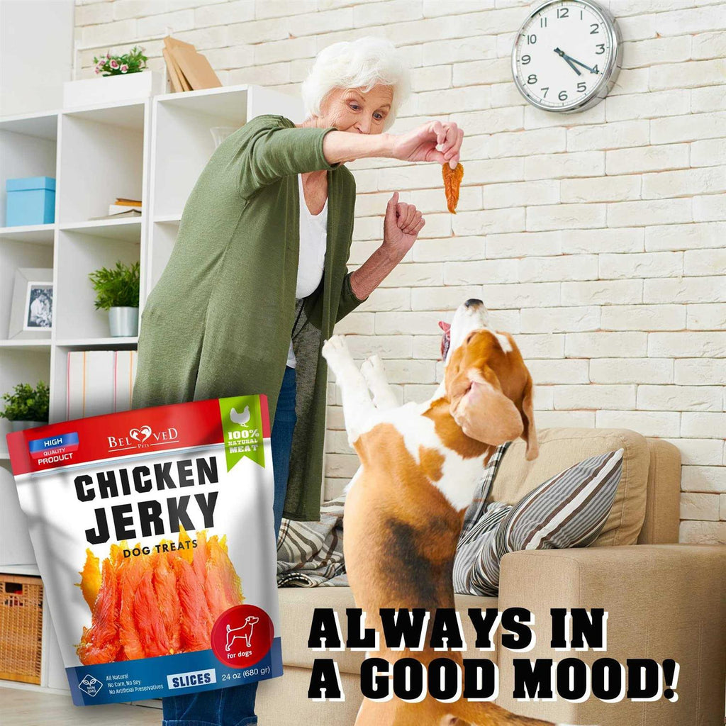 Chicken Jerky Dog Treats 1.5 Lb Grain Free Y607