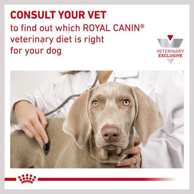 Veterinary Diet Skin Support Dry Dog Food V47767
