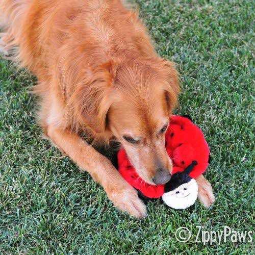Squeakie Crawler Ladybug Plush Dog Toy M32248