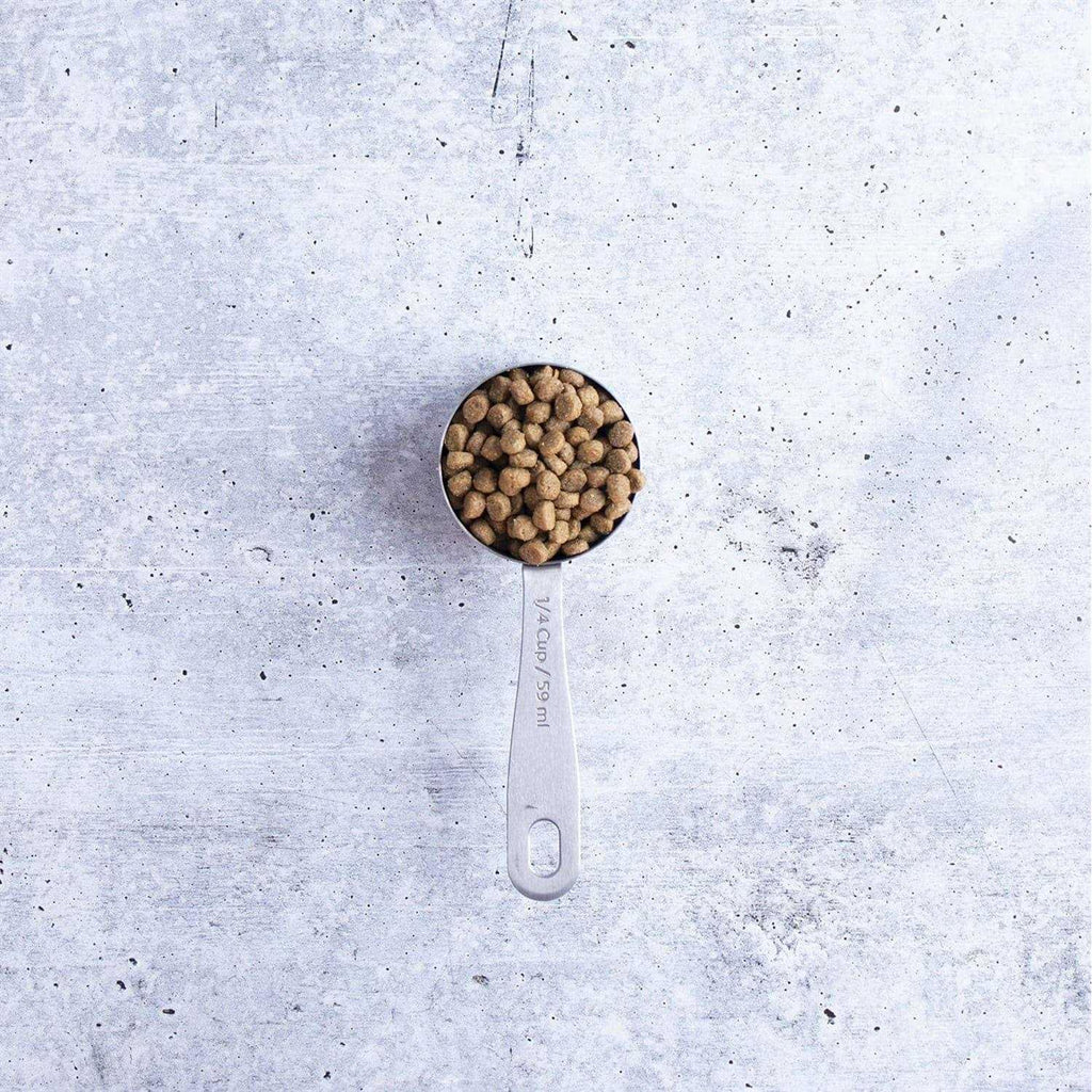 Primitive Feline Dry Food W979929