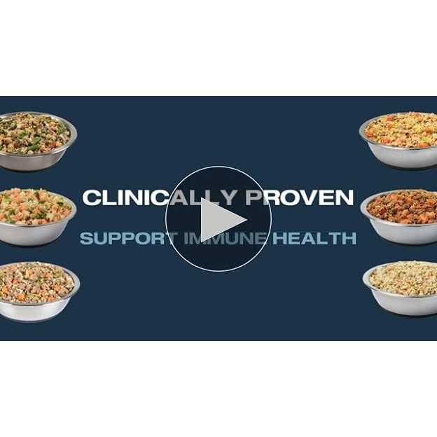 Frozen Fresh Dog Food for Liver Health W361807