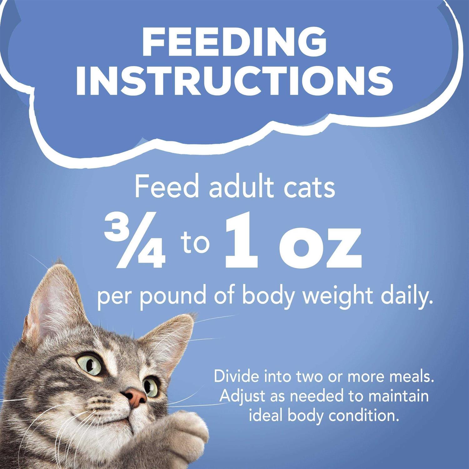 Shreds Wet Cat Food C172182