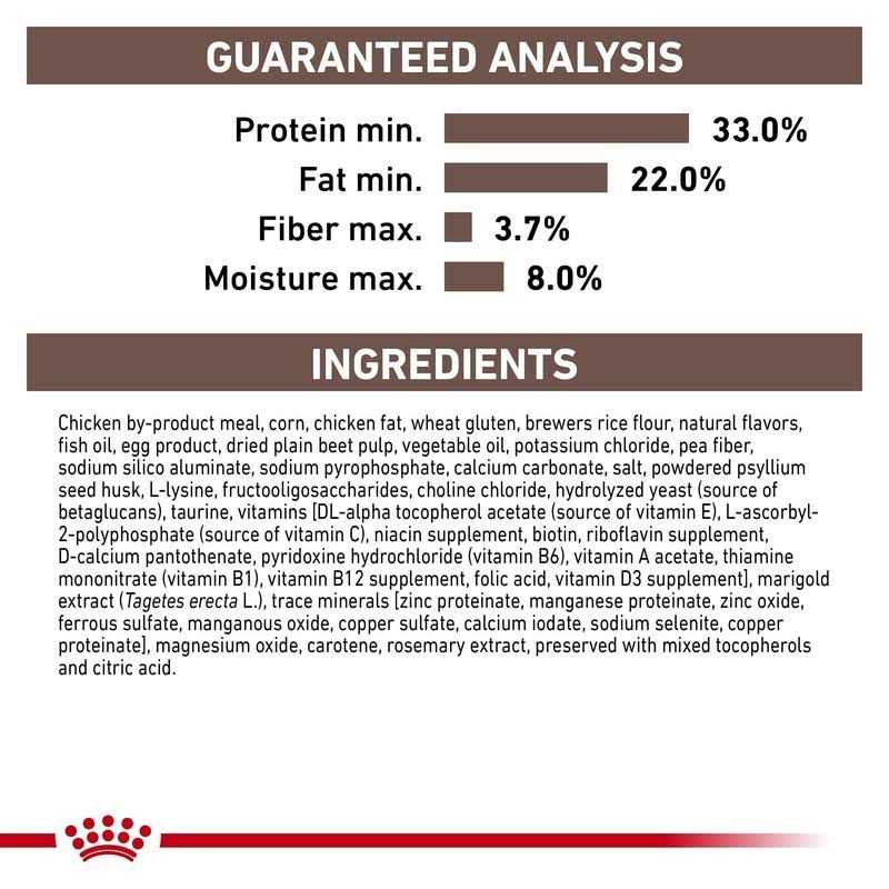 Gastrointestinal Kitten Dry Cat Food B279672