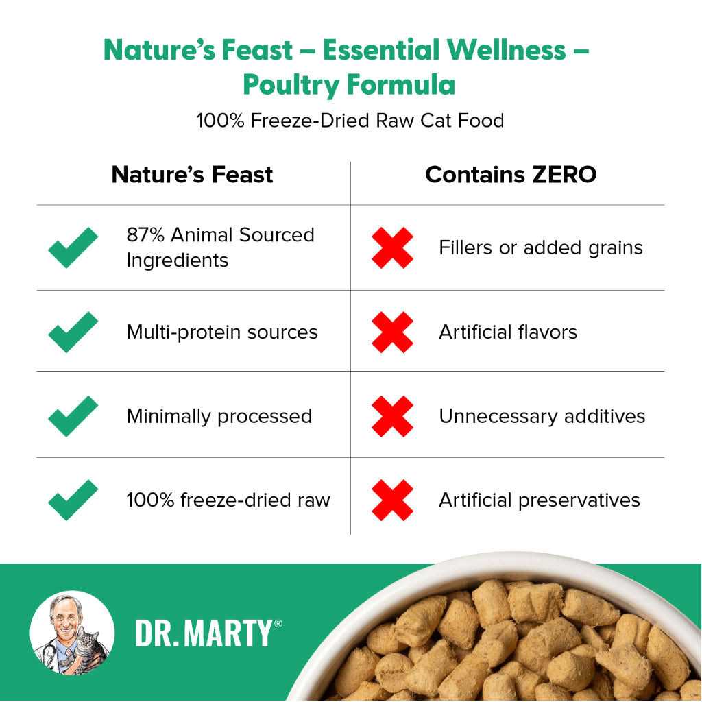 Freeze Dried Raw Cat Food Poultry G28876