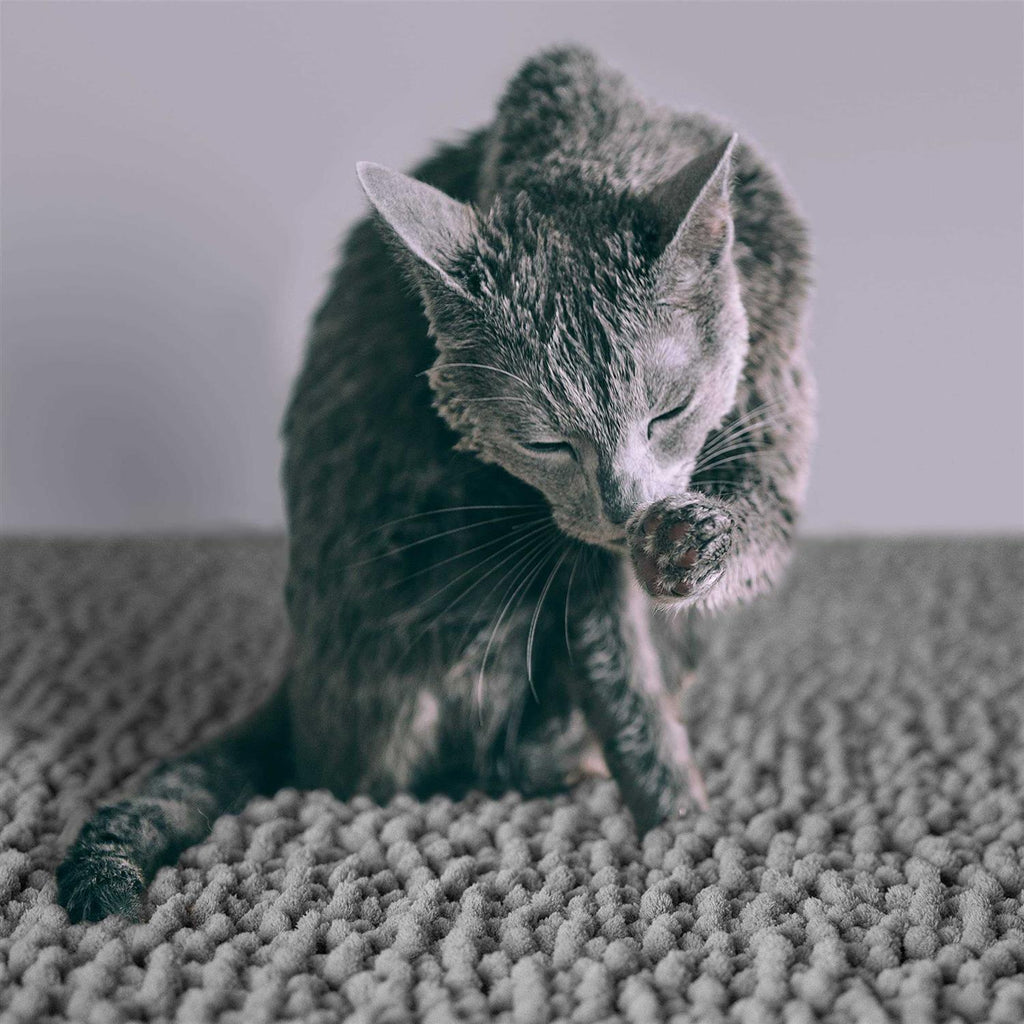Cat Litter Mat Waterproof Extra Large M9522