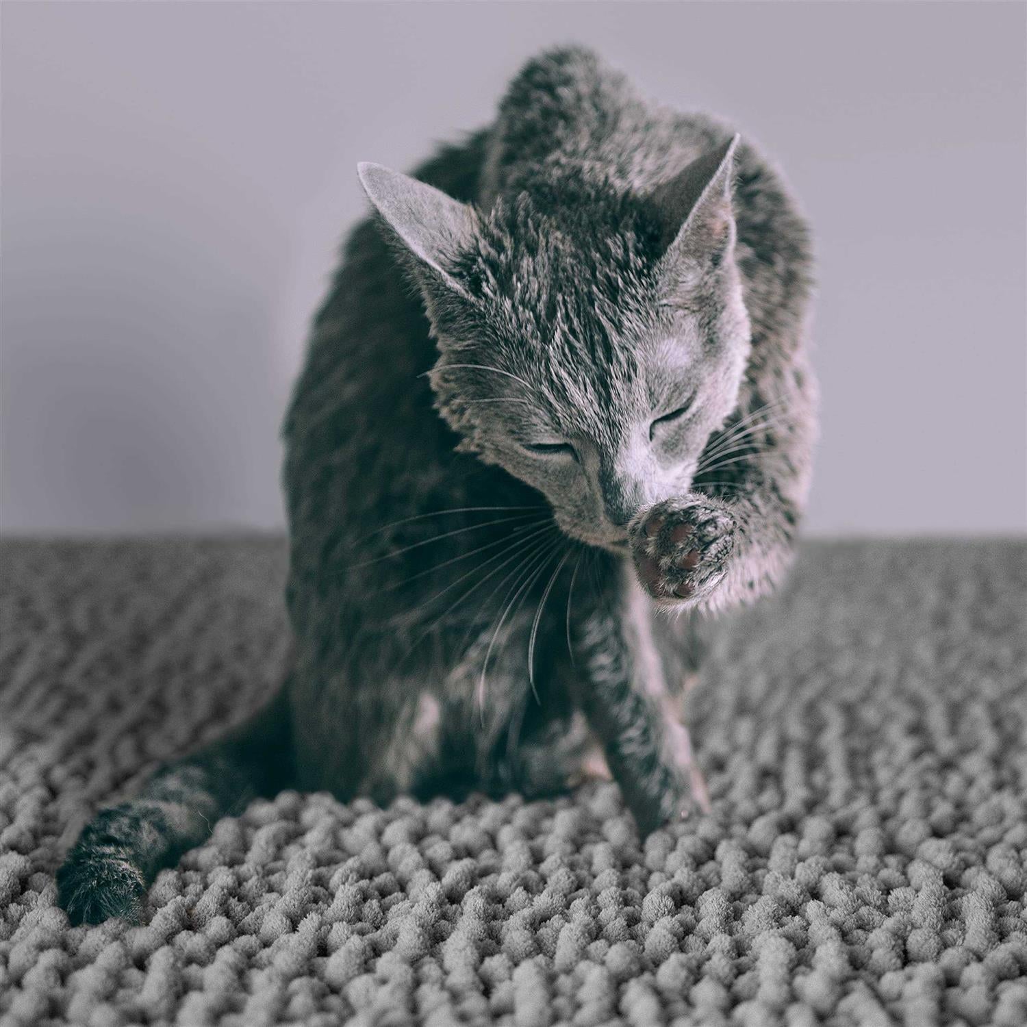 Cat Litter Mat Waterproof Extra Large M9522