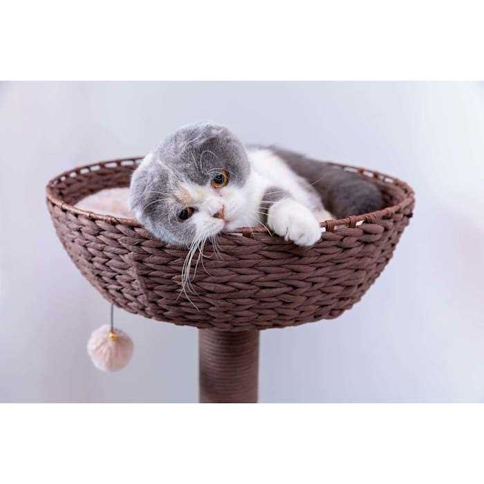 Cat Tree for Indoor Cats R42741