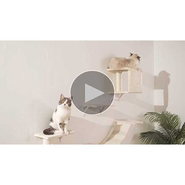 Wall-Mounted Cat Shelves with Scratcher G107623