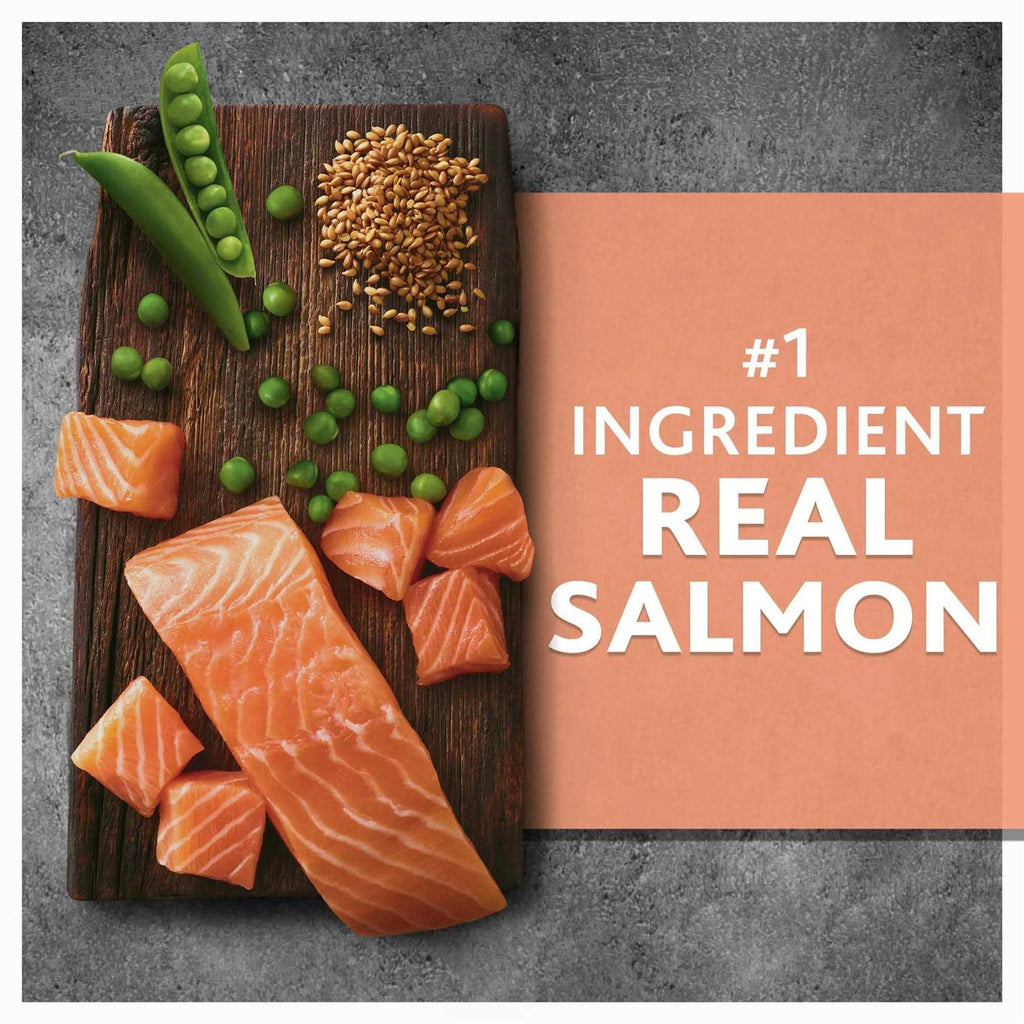 Salmon & Pea Recipe Dry Dog Food O281737
