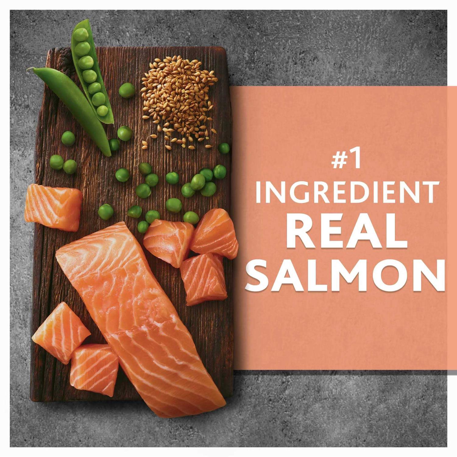 Salmon & Pea Recipe Dry Dog Food O281737
