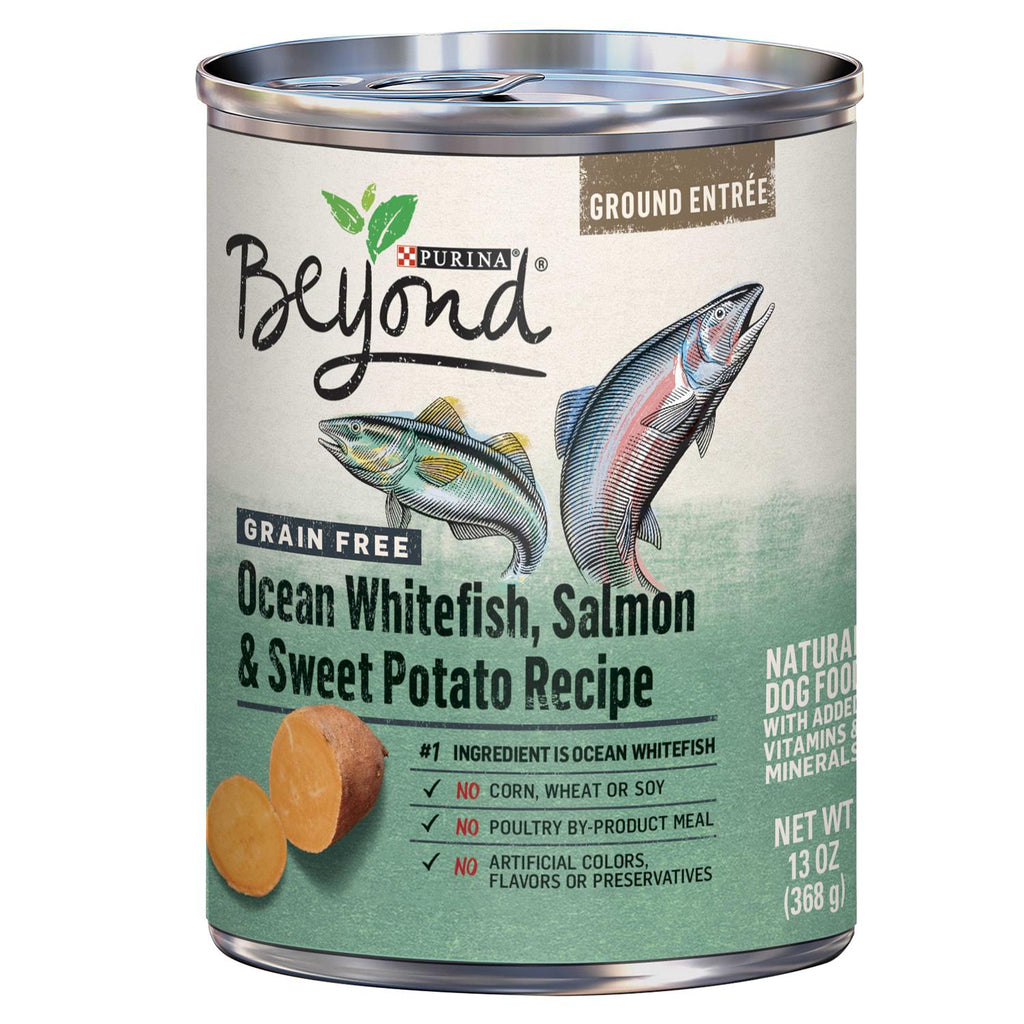 Purina Beyond Alaskan Cod Salmon &amp; Sweet Potato Grain-Free Canned Dog Food - Pet Supplies online store