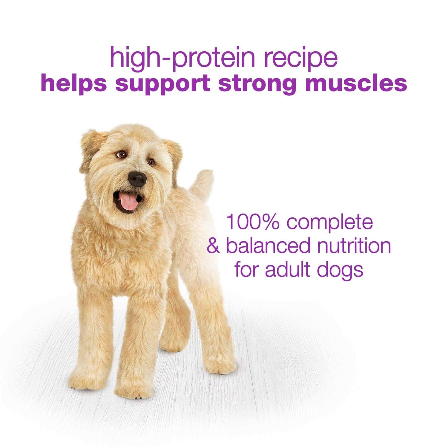 Chopped Blends Wet Dog Food N144971