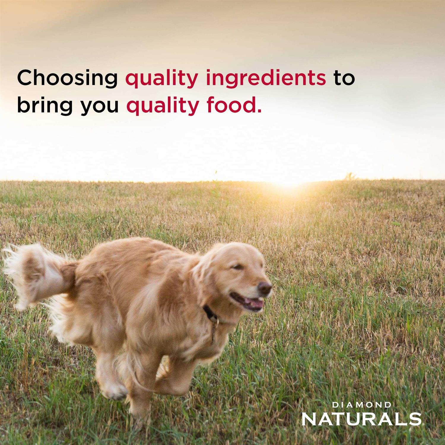 Lamb Meal & Rice Adult Dog Food F85373