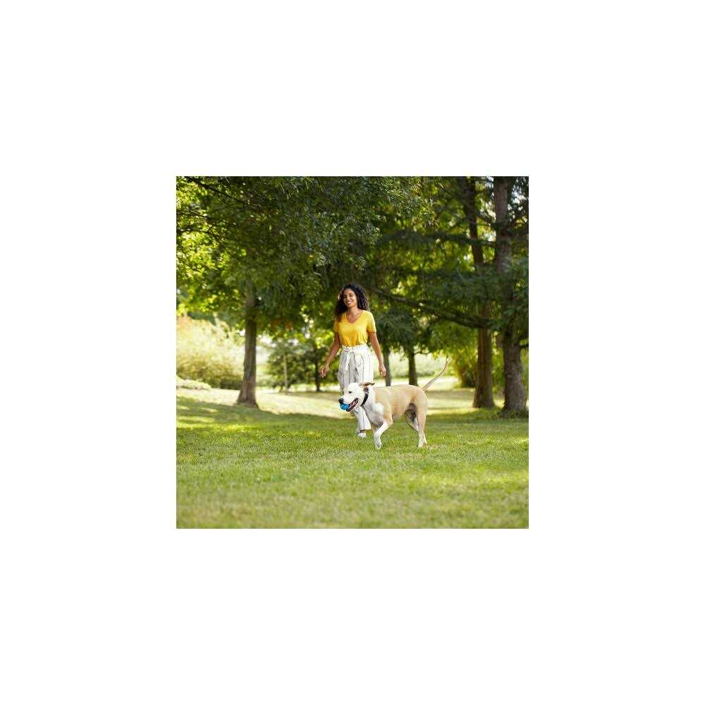 Natural Dry Dog Food with Beef I202901