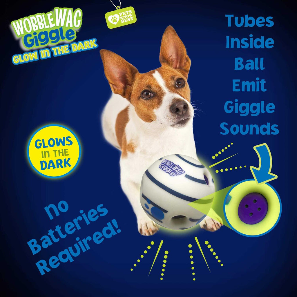 Interactive Dog Toy with Giggle Sounds When Rolled or Shaken L1141