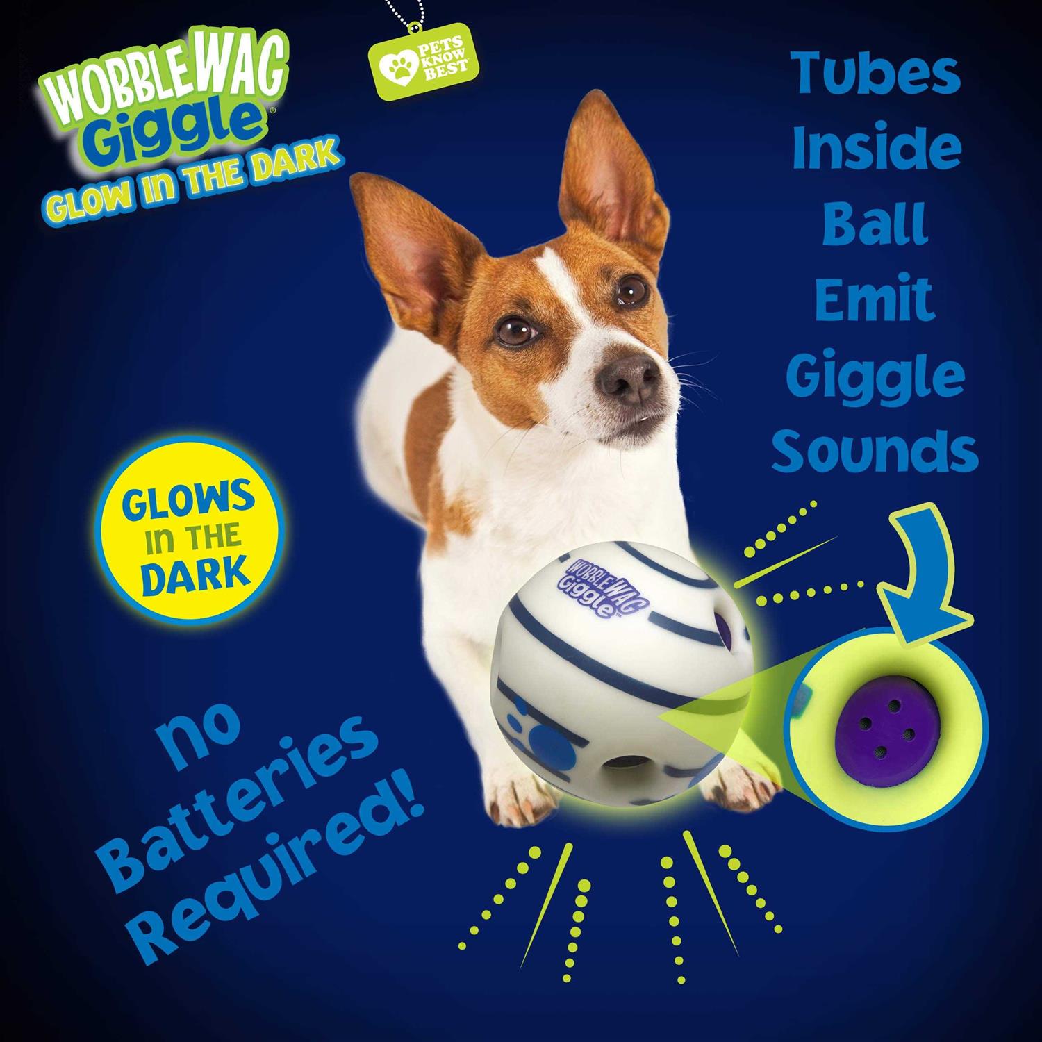 Interactive Dog Toy with Giggle Sounds When Rolled or Shaken L1141