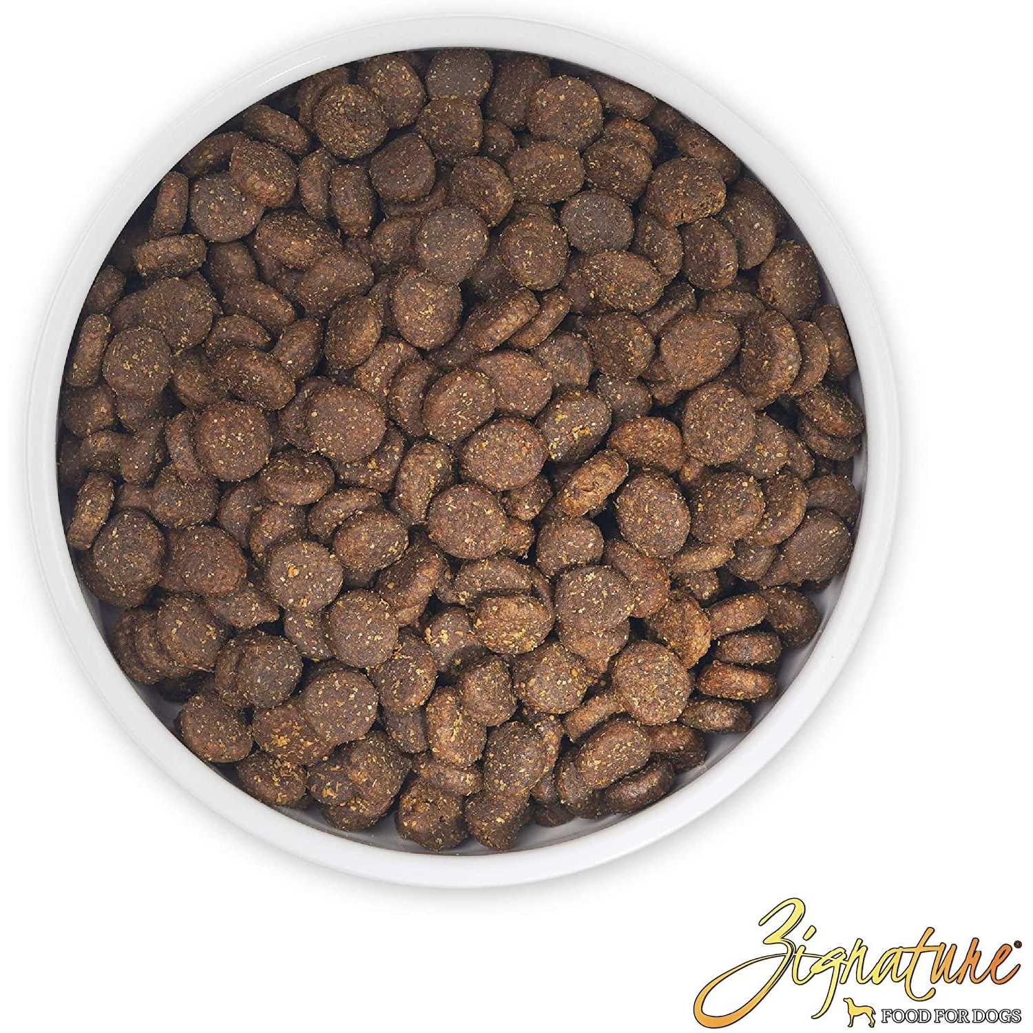 Trout & Salmon Formula Dry Dog Food G167312